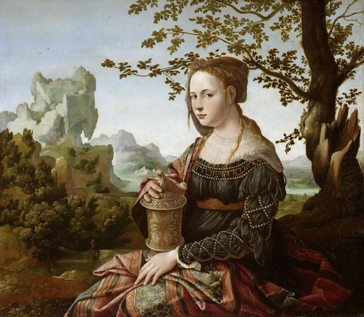 Jan van Scorel Mary Magdalene (mk08) china oil painting image